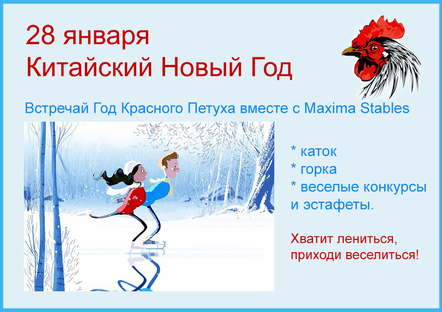 Новый Год 28 Января